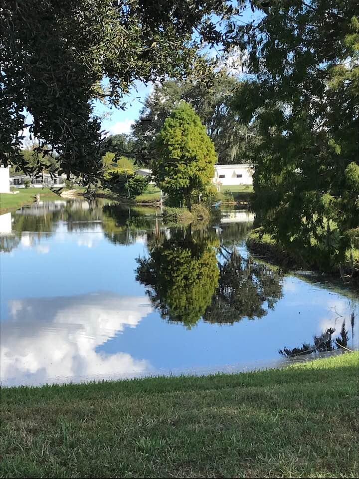 Canal view